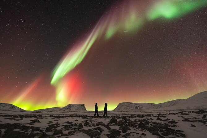 Northern Lights Photo Expedition Dinner Included from Abisko - What the tour is like for different travelers