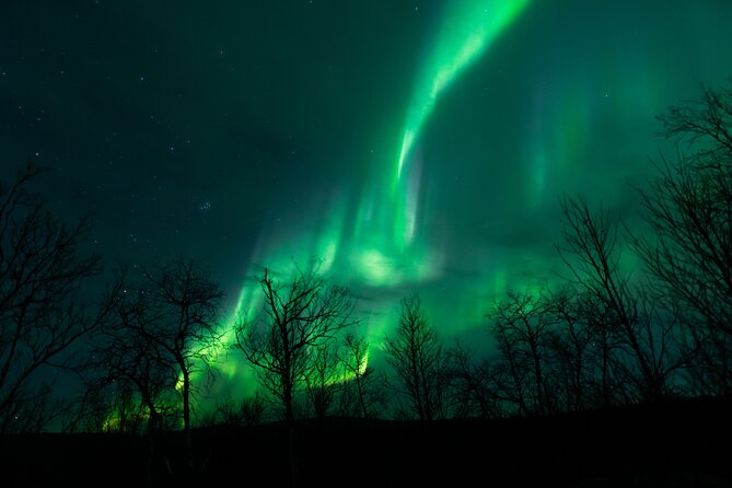Northern Lights Tour from Kiruna to Abisko with Dinner - Key highlights before you go
