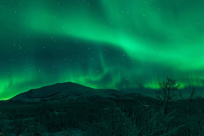 Northern Lights Tour from Kiruna to Abisko with Dinner - Campfire time, hot drinks, and how camera help actually helps