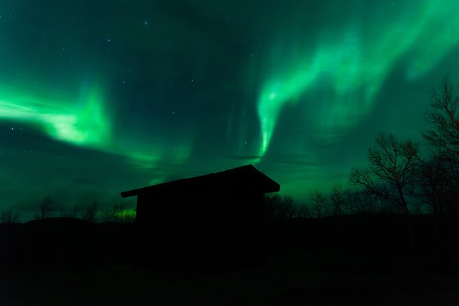 Northern Lights Tour from Kiruna to Abisko with Dinner - Price and logistics: what you are really paying for