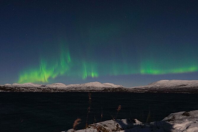 Northern Lights Tour from Kiruna to Abisko with Dinner - Comfort tips so you enjoy the waiting, not just the lights