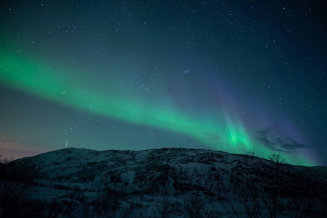 Northern Lights Tour from Kiruna to Abisko with Dinner - Who this tour fits best