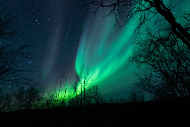 Northern Lights Tour from Kiruna to Abisko with Dinner - Dinner in Abisko Mountain Lodge, plus the Lapland and Sami context
