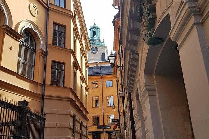 Private Car Tour of Stockholm with a Live guide, including the Vasa museum. - The western bridge panoramic view that ties the day together