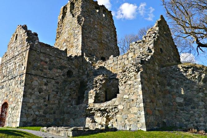 Private Full Day Viking History Tour from Stockholm Including Sigtuna and Uppsala - Stop 1: Broby Bro runestones and grave field