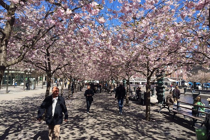 Private full day VIP city tour by limousine car in Stockholm - Riddarholmen views and Tegnerlunden, finishing with off-the-beaten calm