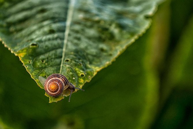 Private Photography workshop in Stockholm - Who this workshop is best for (and who should pick something else)