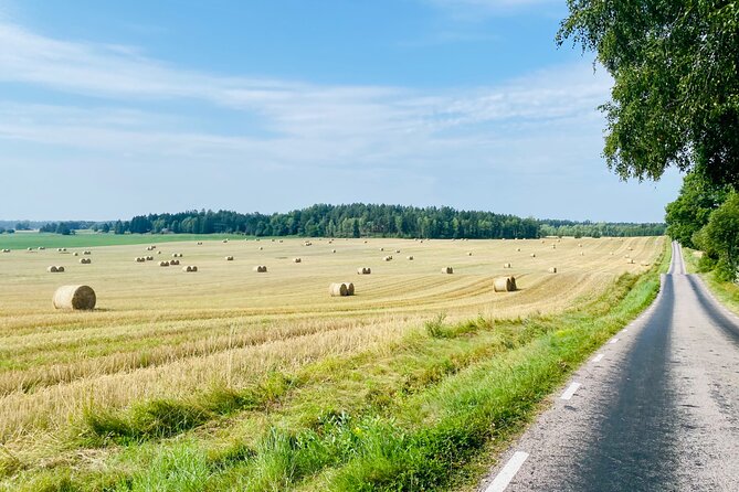Private Roadbike Adventure in Stockholm - Price in context: what $289.11 per person buys you