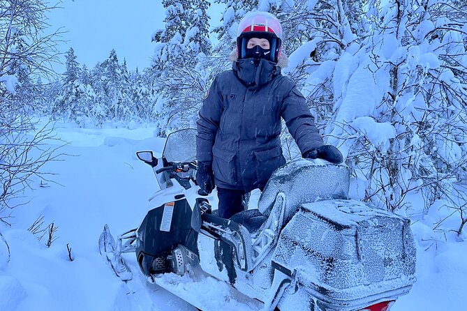 Private snowmobile day tours - Wildlife chances: reindeer and moose without the pressure