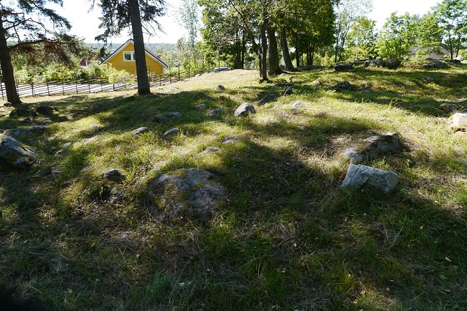 Private Tour: 3h Viking History from Stockholm to Runic Kingdom - Private guide value: pacing, safety, and real answers