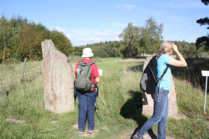 Private Tour: 3h Viking History from Stockholm to Runic Kingdom - Price and value: what $431.94 per person buys you