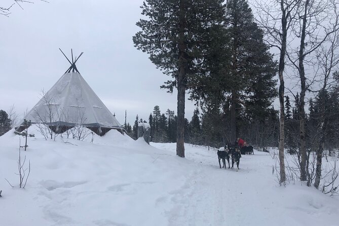 Sit Back and Relax Morning Husky Tour - What to pack (since the cold is the real boss)