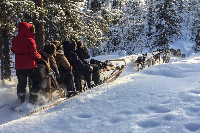 Sit Down Husky Ride Dog Sled Tour in Kiruna - Key highlights before you go