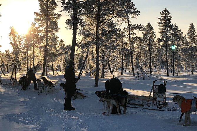 Sit Down Husky Ride Dog Sled Tour in Kiruna - From central Kiruna to the kennels in Kurravaara