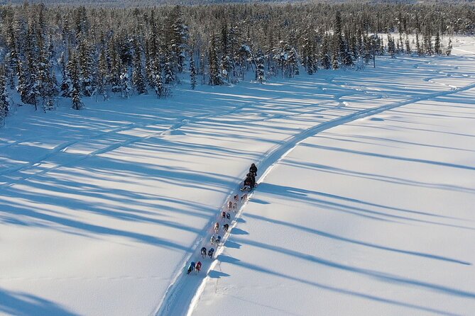 Sit Down Husky Ride Dog Sled Tour in Kiruna - Meeting point and what happens at the end