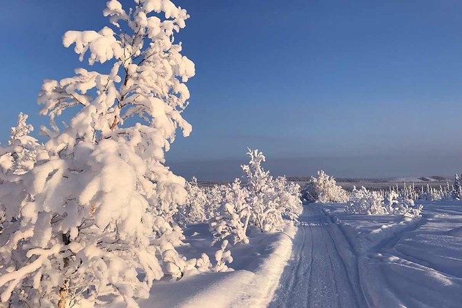 Snowmobile Arctic Adventure - The Torne River Tracks: What the 30 to 40 km Really Feels Like