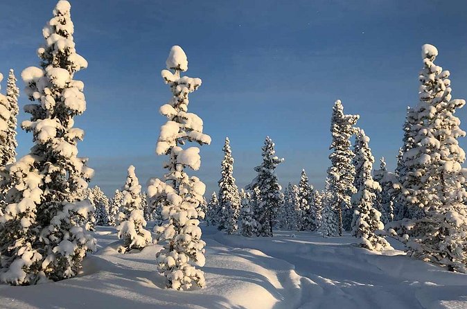 Snowmobile Arctic Adventure - How Two Riders Share One Snowmobile (and How to Choose Your Setup)