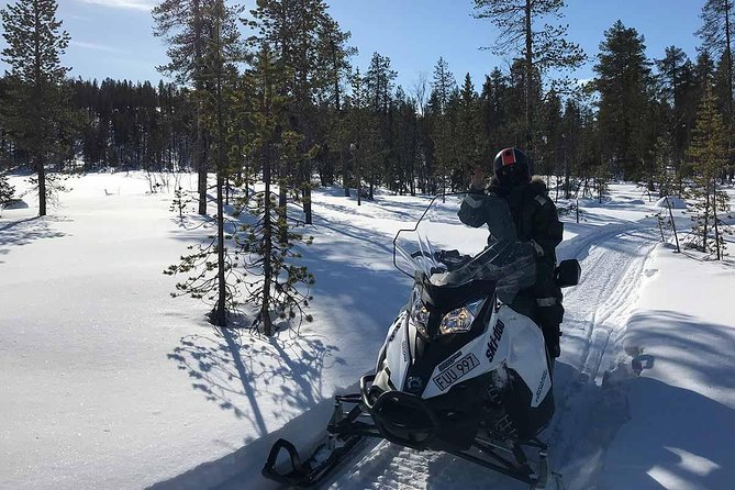 Snowmobile Arctic Adventure - Price and Value in Kiruna: What $231.34 Buys You