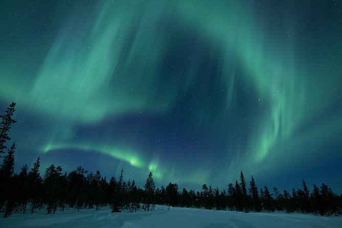 Snowmobile Aurora Expedition with dinner - Key Things That Make This Tour Worth Your Time