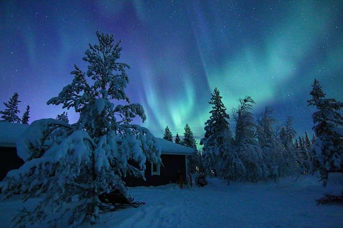 Snowmobile Aurora Expedition with dinner - Short Transport, Real Off-Road Time