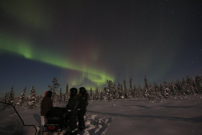 Snowmobile Aurora Expedition with dinner - The Arctic Route: Forests, Frozen Lakes, and the Torne River
