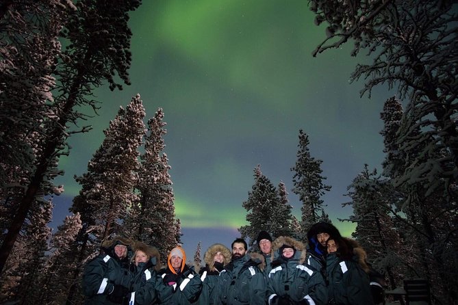 Snowmobile Aurora Expedition with dinner - Price and Value: Why 259.35 Can Make Sense