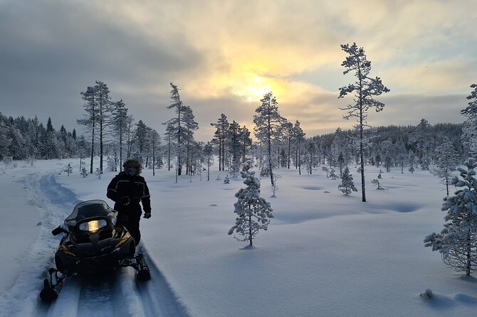 Snowmobile tour - A Vistträsk snowmobile ride that mixes big views and cozy warmth