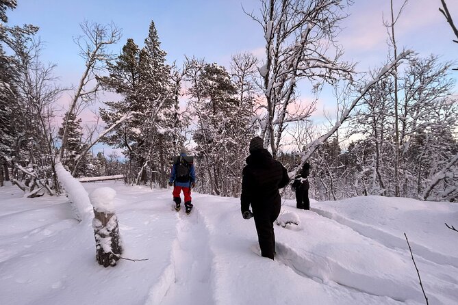 Snowshoe in a Winter Forest - Key things to know before you go