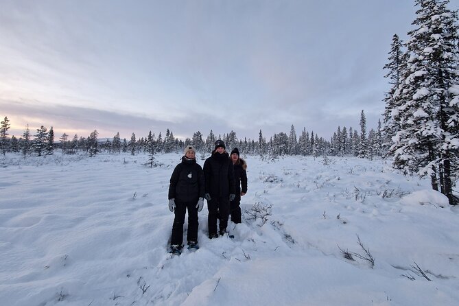 Snowshoe in a Winter Forest - Pickup in Kiruna: how the minivan system works