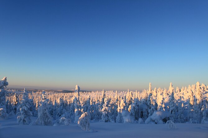Snowshoe in a Winter Forest - Dress for Lapland cold, because clothing is on you