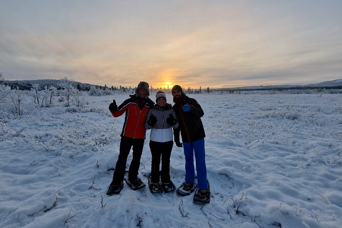 Snowshoe in a Winter Forest - Finding animal tracks in the arctic year