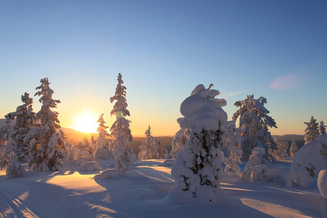 Snowshoe in a Winter Forest - Culture context: Sami culture and mining in Kiruna