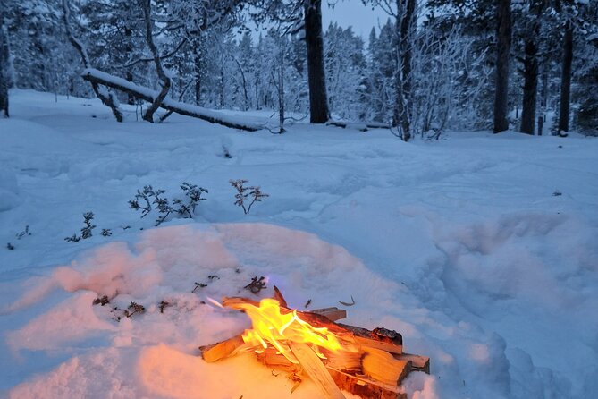 Snowshoe in a Winter Forest - The warm break: berry juice and Kangoskaka