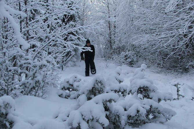 Snowshoe in a Winter Forest - The hike plan: easy snowshoeing for 2.5 hours