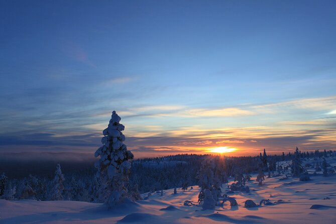 Snowshoe up a Mountain - Highlights at a Glance