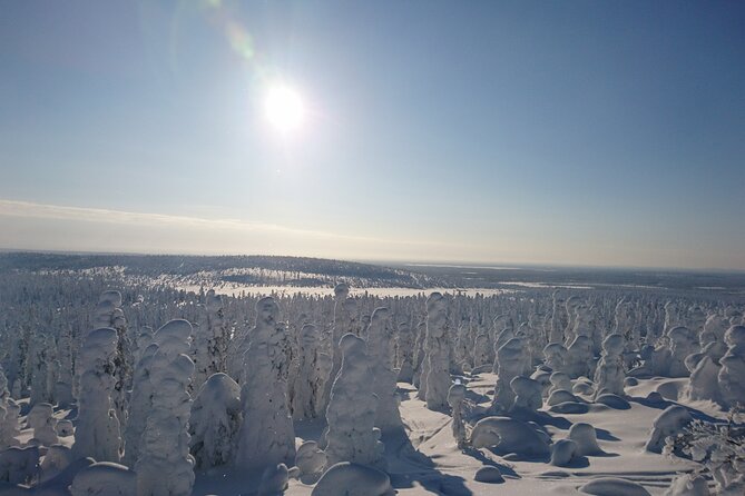 Snowshoe up a Mountain - The 2.5 Hour Plan: Snowshoeing With Purpose