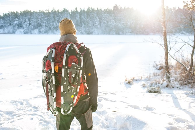 Snowshoe Winter Hike from Stockholm - Key reasons this Stockholm winter hike works