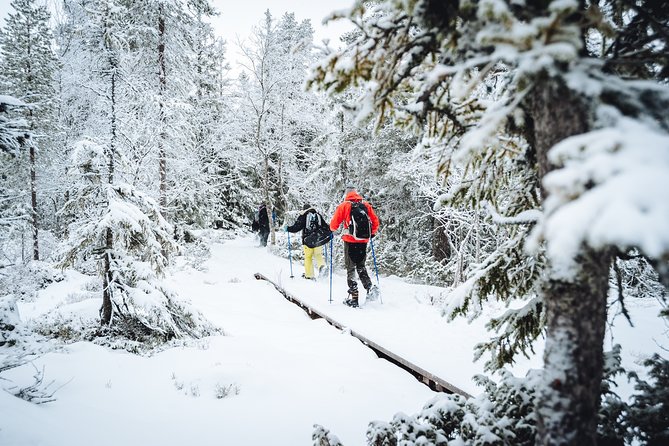 Snowshoe Winter Hike from Stockholm - Start at Tideliusgatan 62, with gear handled for you