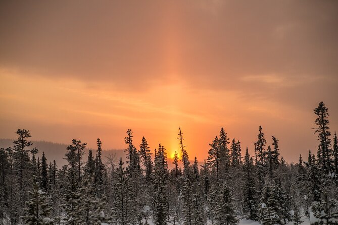 Snowshoe Winter Hike from Stockholm - The hike pace: comfortable walking plus forest know-how