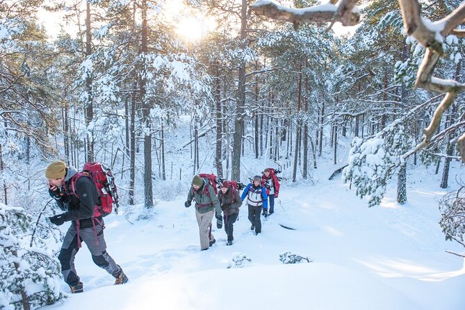 Snowshoe Winter Hike from Stockholm - Campfire lunch in the woods, plus fika snacks