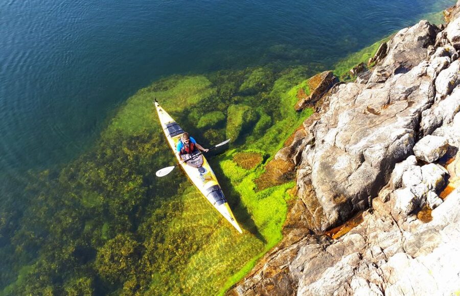 Stockholm: 1, 2, or 3-Day Kayaking Tour in the Archipelago - Paddling Pace and Physical Demand, What “Easy Tempo” Means
