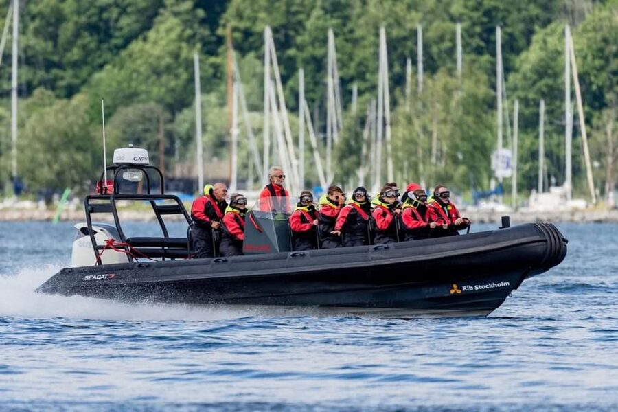 Stockholm: 2-Hour RIB Speed Boat Tour of the Archipelago - Wild rocks and forests: where the archipelago starts looking untamed
