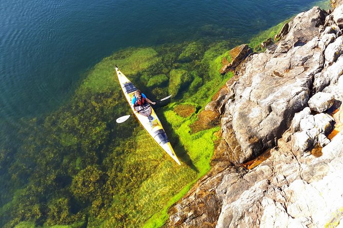 Stockholm Archipelago Kayaking Day Tour - Key things to know before you go