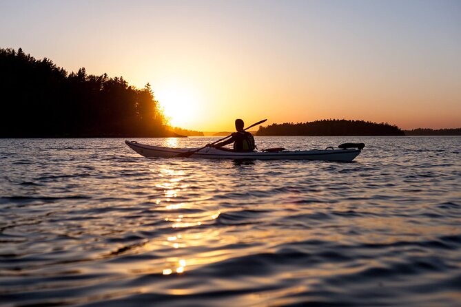 Stockholm Archipelago Sunset Kayaking and Fika tour - Key points before you go