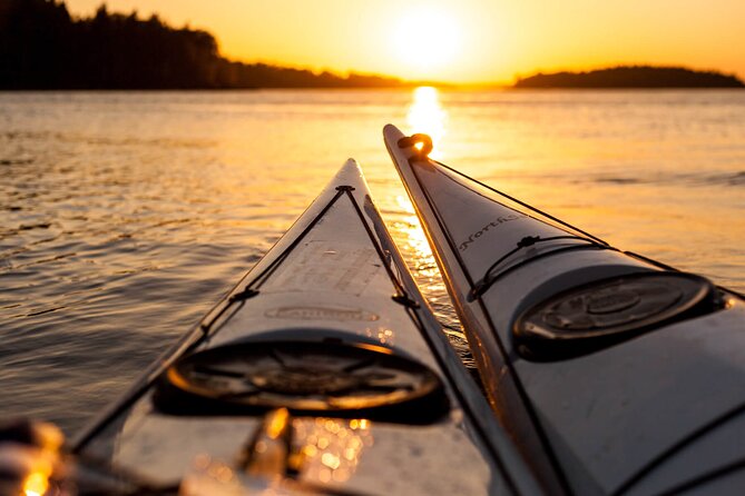 Stockholm Archipelago Sunset Kayaking and Fika tour - What you should know about kayaks, limits, and comfort
