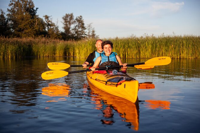 Stockholm Archipelago Sunset Kayaking and Fika tour - Stop 2: Bogesundslandet naturreservat, where wildlife has a fighting chance