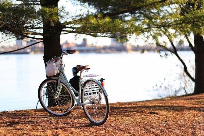 Stockholm Bike Tour - How the private, max-12 format changes your ride