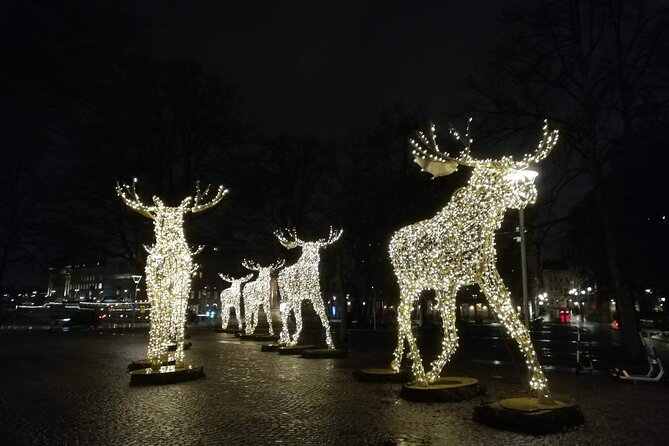 Stockholm Christmas Tour and Food Tasting Experience - A 2-hour route that gets you oriented fast