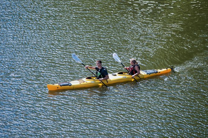 Stockholm City Evening Kayak Tour - Stockholm City Hall to Dusk Sights: What the Route Feels Like