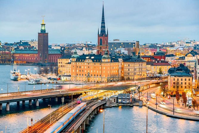 Stockholm City Tour + VAASA Museum VIP car (private service) - A private 3-hour Stockholm mix that works when your schedule is tight